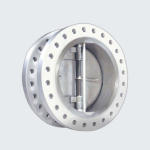Dual Plate Check Valves