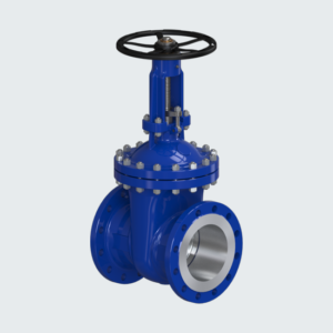 Rising Stem Gate Valves