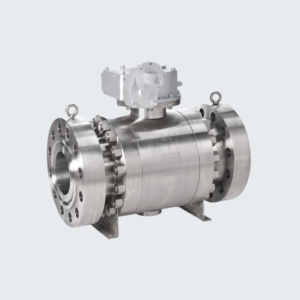 Trunnion Mounted Ball Valves