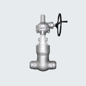Wedge Gate Valves