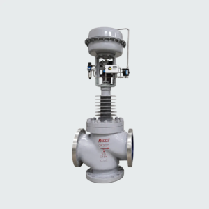 Globe Control Valves